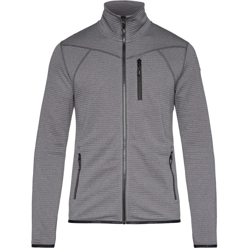 ICEPEAK Funkčná flisová bunda BERTHOLD svetlosivá 67867918