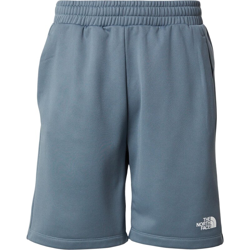 THE NORTH FACE Športové nohavice REAXION 2.0 sivá / biela 67868389