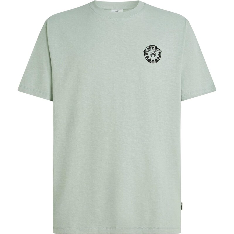 ONEILL Tričko nefritová / pastelovo zelená / čierna 67890352