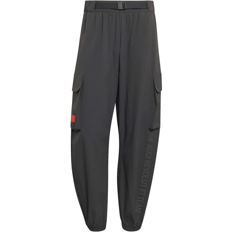 ADIDAS SPORTSWEAR Športové nohavice AU EF tmavosivá / červená / čierna 67891181