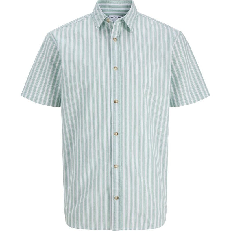 JACK & JONES Košeľa JJCHAD mätová / čierna / biela 67904199