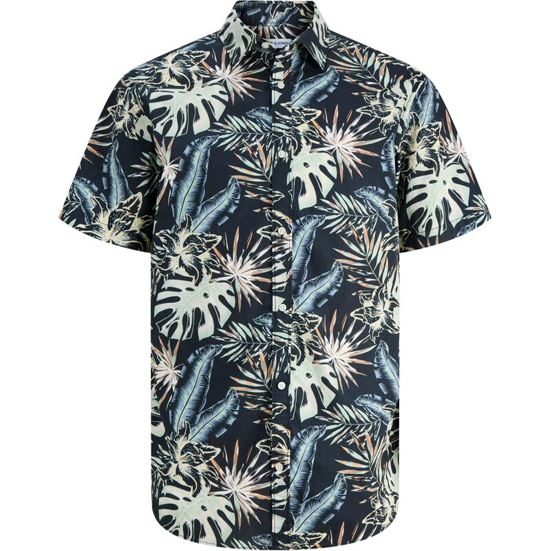 JACK & JONES Košeľa JJHONOLULU svetlomodrá / pastelovo zelená / 67906231