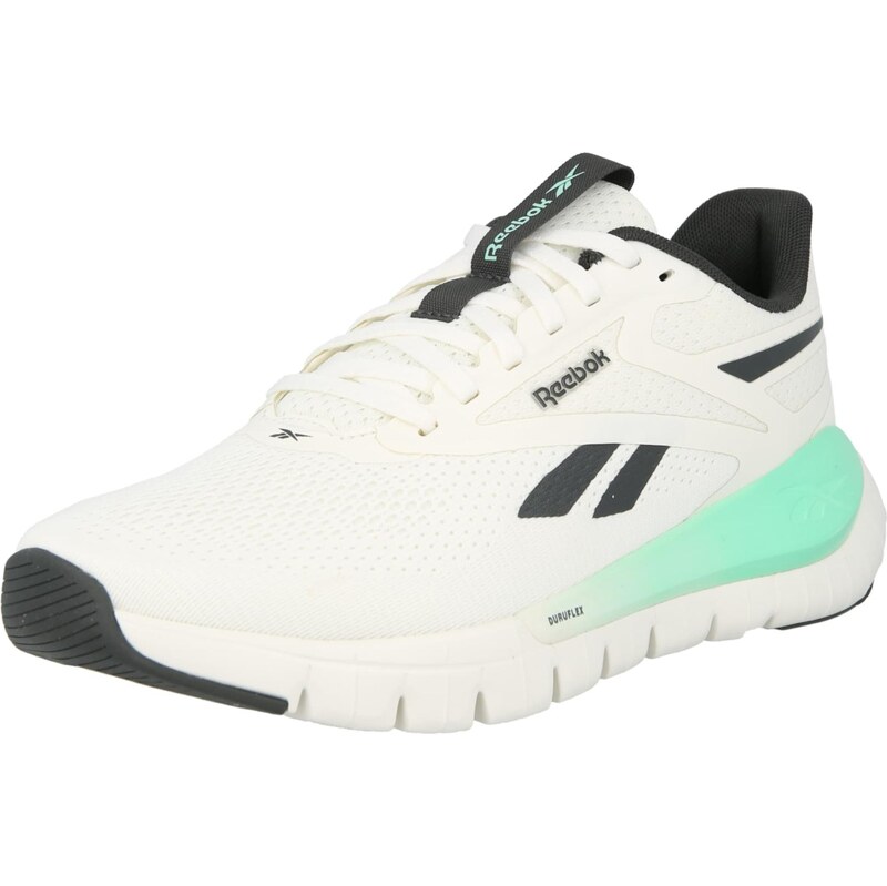 Reebok Športová obuv FLEX čierna / šedobiela 67906898
