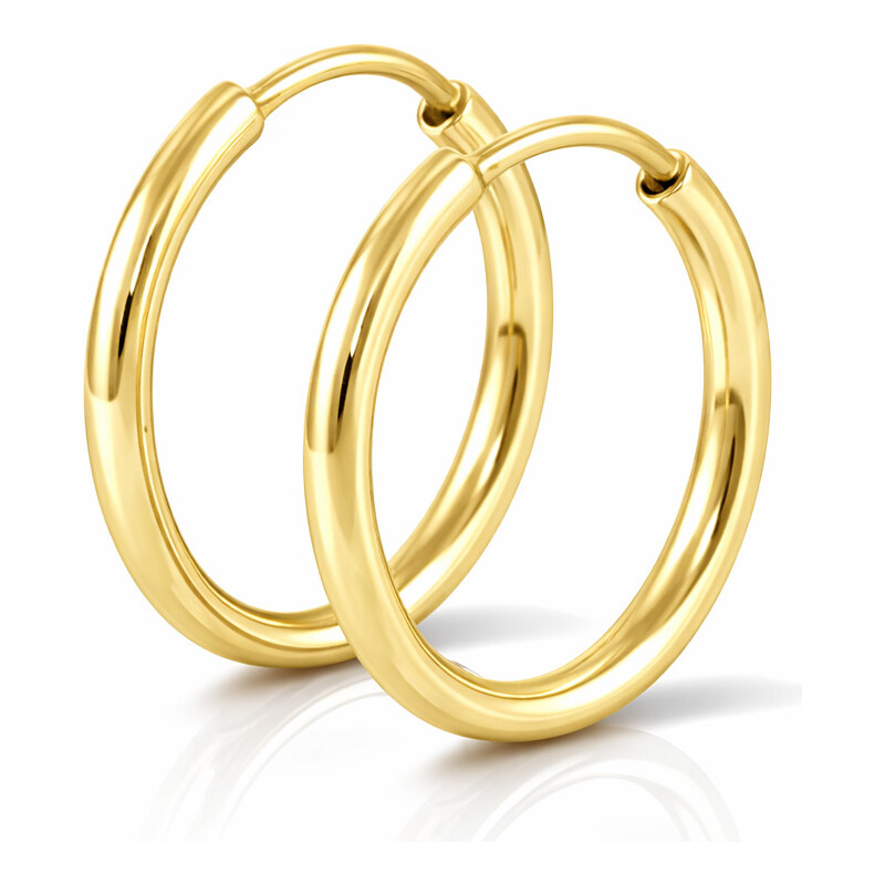 Soliter Zlaté náušnice kruhy 231 001 00333 66596268