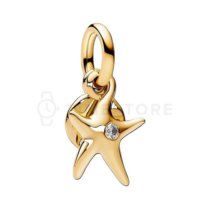 Pandora Moments 763892C01 763892C01 68158469