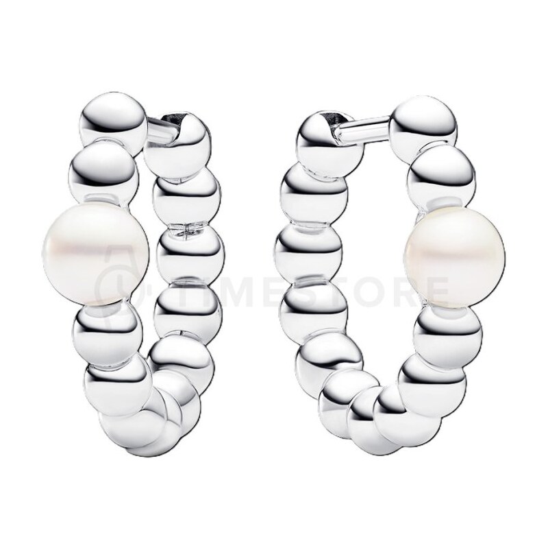 Pandora Timeless 293178C01 293178C01 68158456