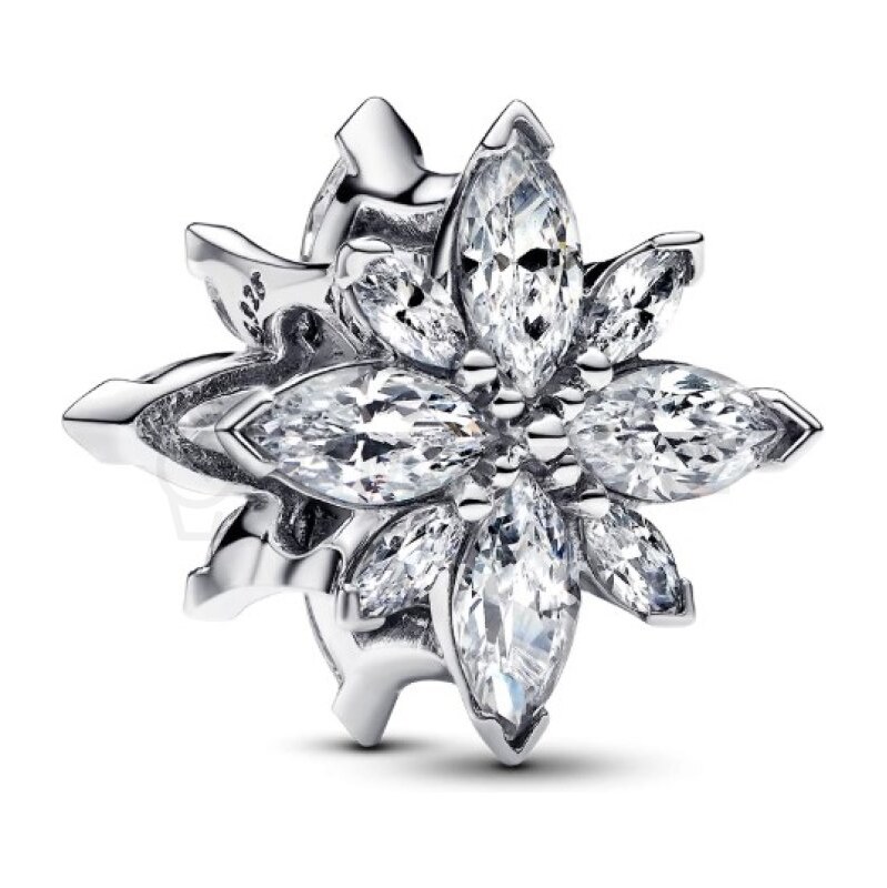 Pandora Moments 793591C01 793591C01 68158484