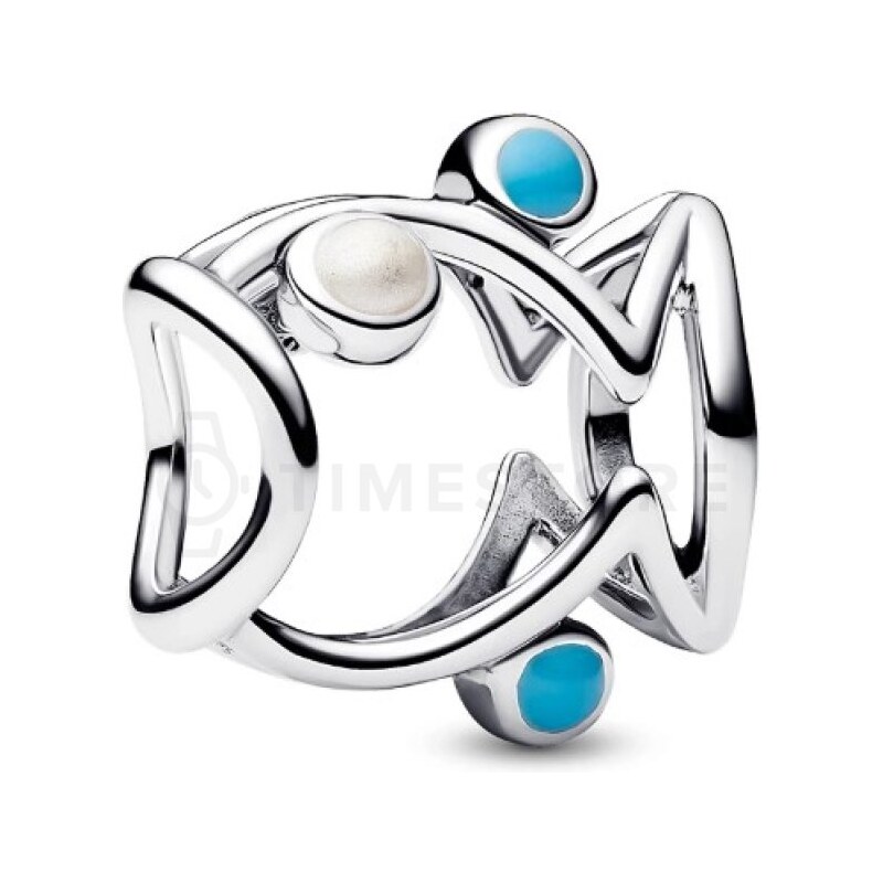 Pandora Moments 793819C01 793819C01 68158529