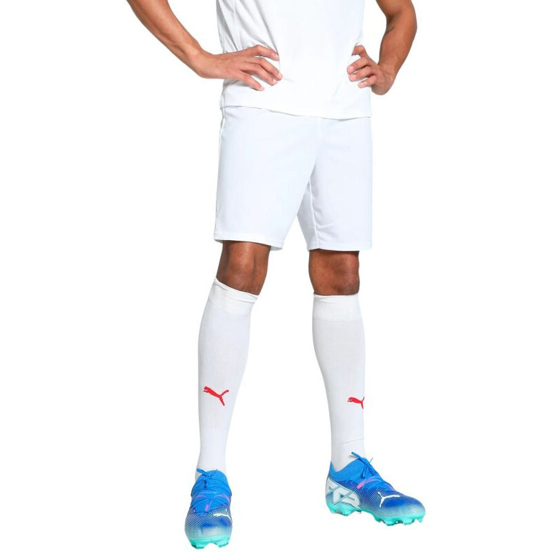 Puma Team Goal pánske šortky biele 705752 04 68158389