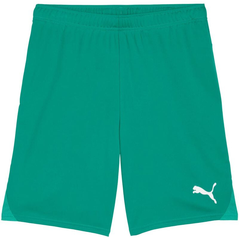 Pánske šortky Puma Team Goal Green 705752 05 68158390