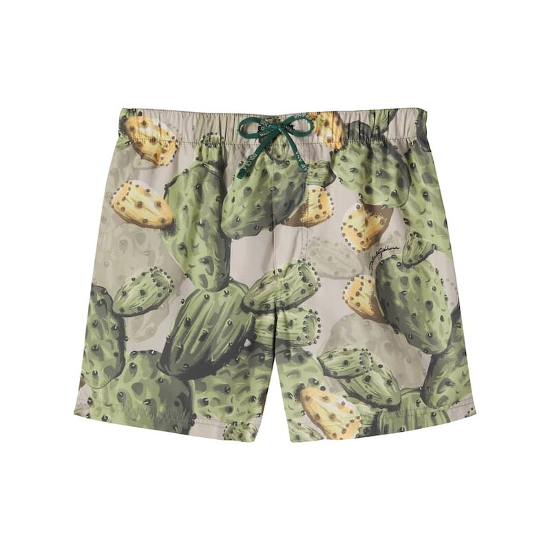 Dolce&Gabbana Kids Printed swim trunks 67976887