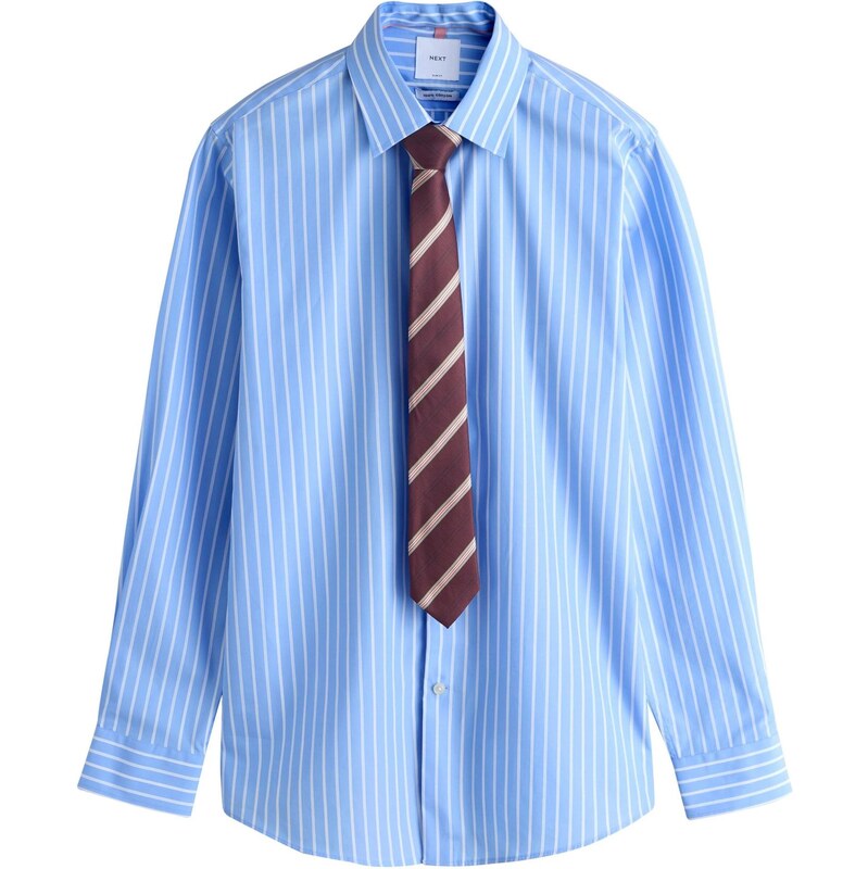 Next Košeľa svetlomodrá / čokoládová / biela 68298849