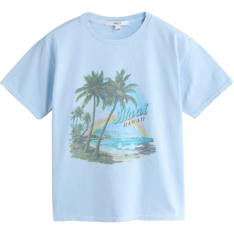 Next Tričko azúrová / svetlomodrá / žltá / jedľová 68299170