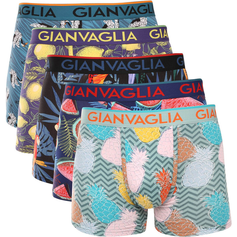 5PACK pánske boxerky Gianvaglia viacfarebné (GVG-5072) 67601727