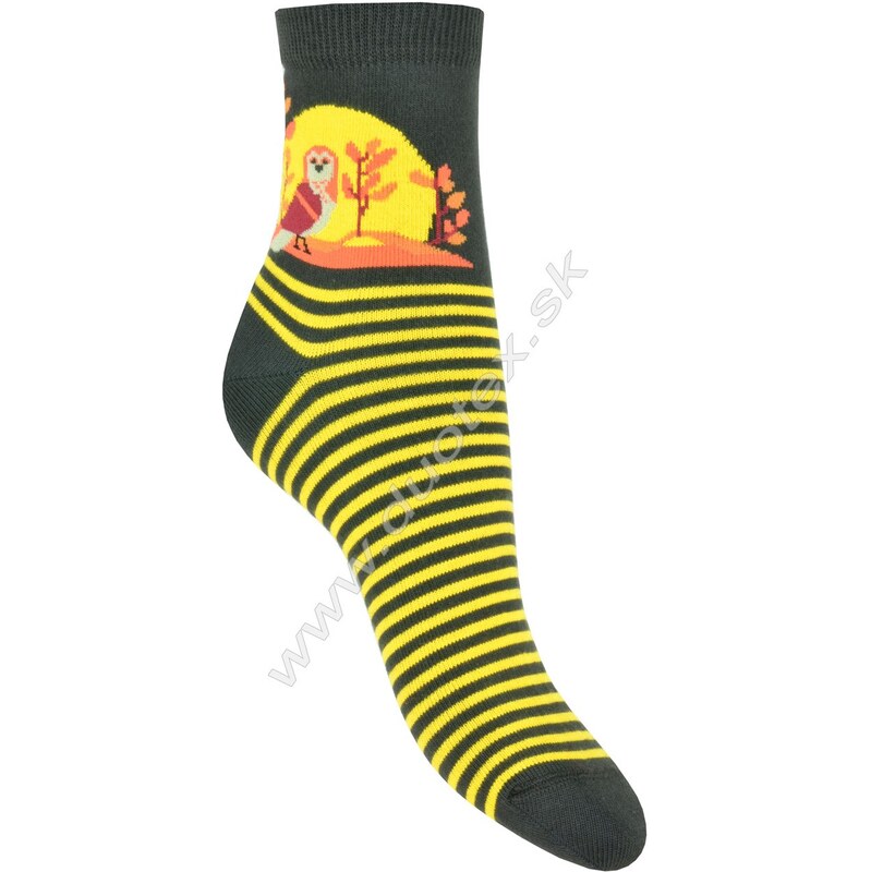 GATTA Dámske ponožky g84.01n-vz.251 M9A 36-38(24-25) 66678925