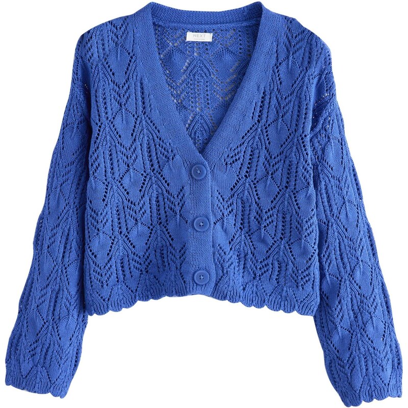 Next Kardigán modrá 68430572