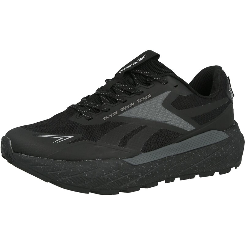 Reebok Bežecká obuv BASE TRAIL sivá / čierna 68469390