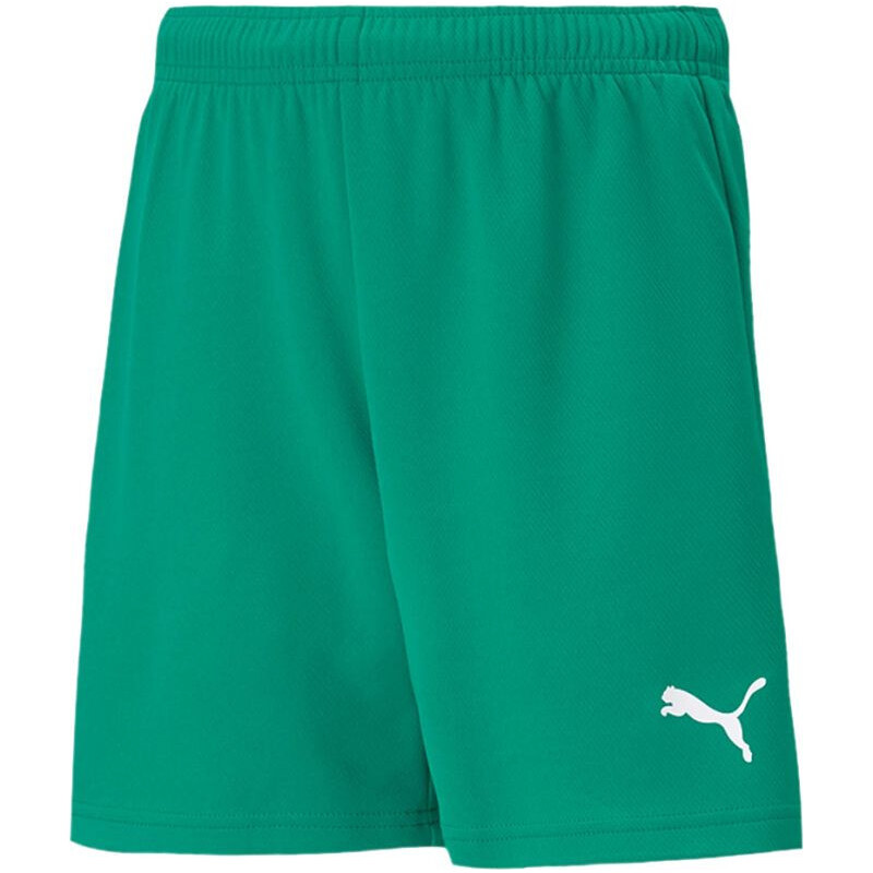 Dětské šortky Jr 05 model 16082299 - Puma 69466212
