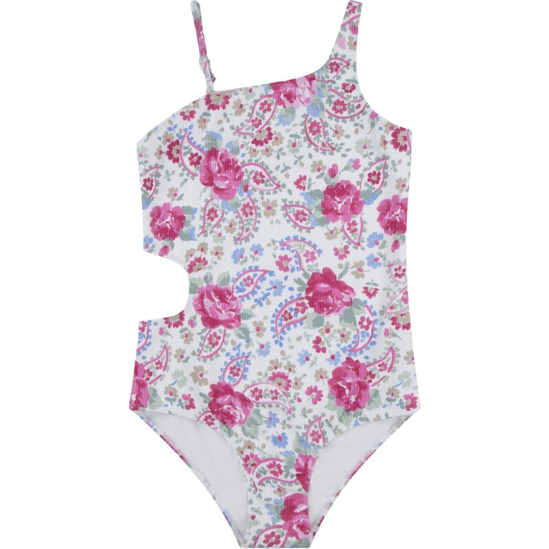 Abercrombie & Fitch Jednodielne plavky modrá / zelená / ružová / biela 68500753
