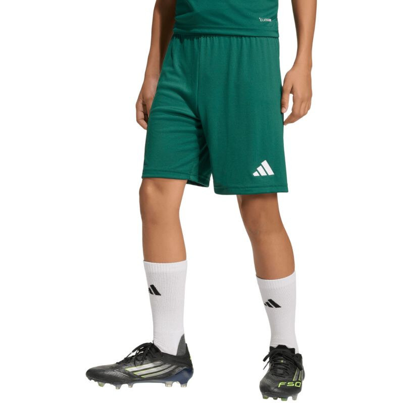 E-shop Detské šortky adidas Entrada 26 green KE9831