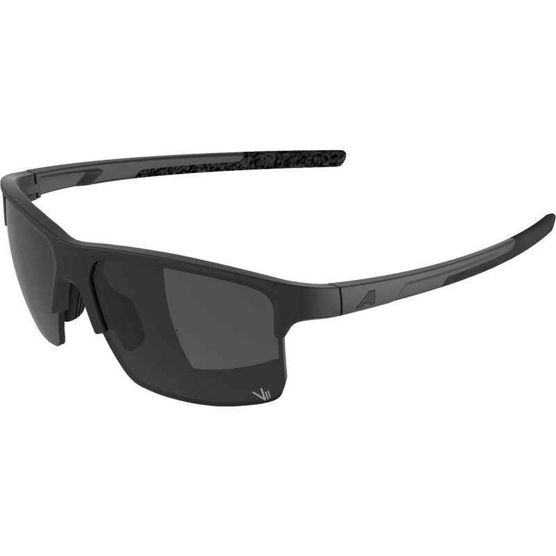 E-shop Športové okuliare ALPINA EAGLE Q-LITE