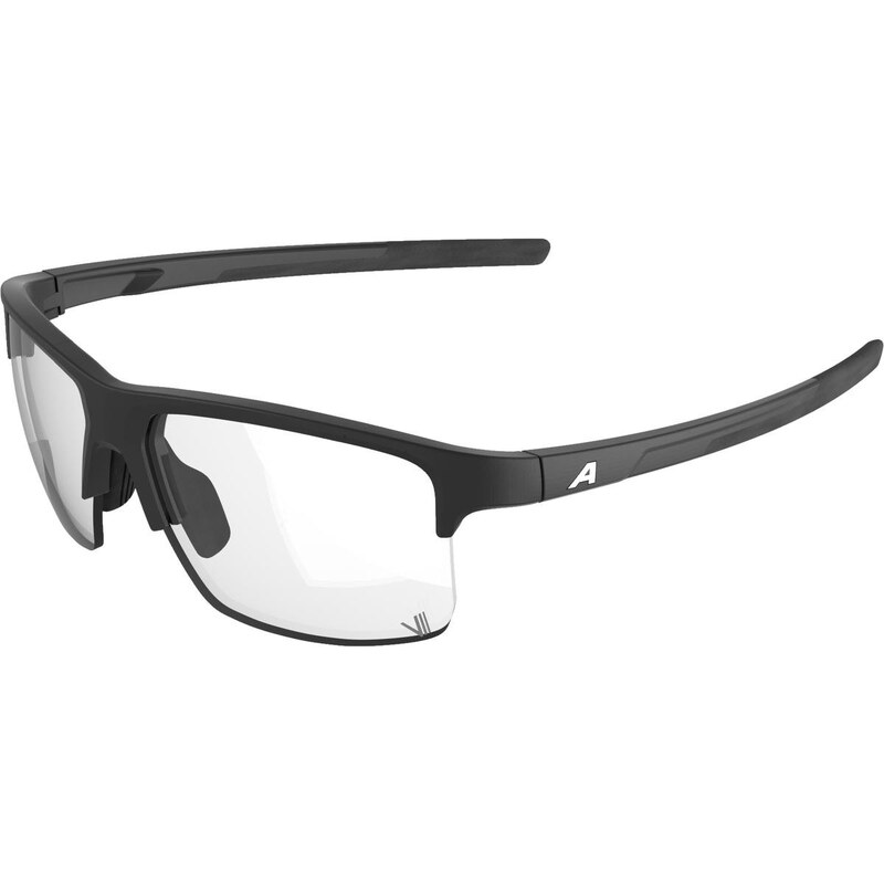 E-shop Športové okuliare ALPINA EAGLE V