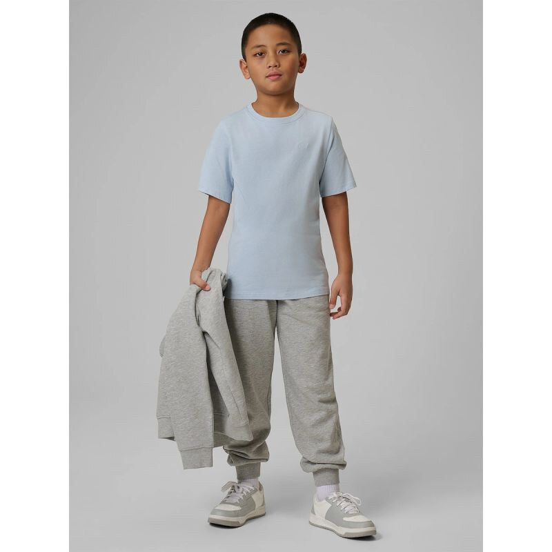 E-shop Chlapčenské tepláky typu jogger 4F 4FJRMM00TTROM1823-25M