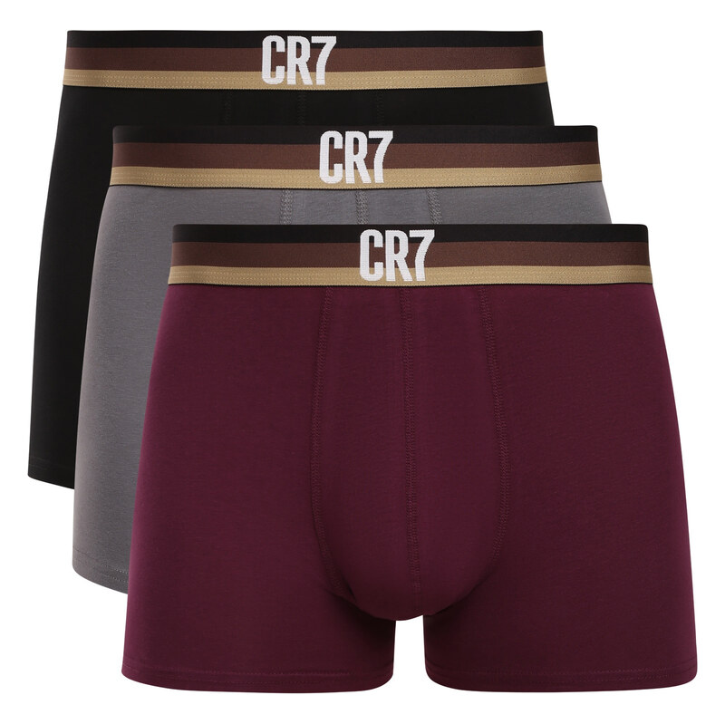 3PACK pánske boxerky CR7 viacfarebné (8100-49-719) 68736434