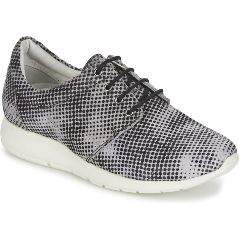 Maruti Nízke tenisky WING Maruti 62484769