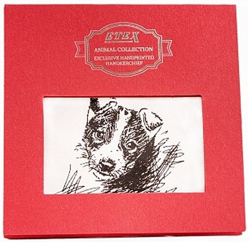 Etex Vreckovka L35 darčeková krabička Pes (1 ks)