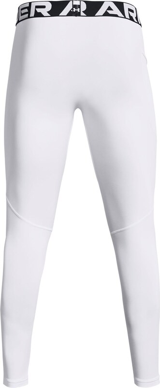Men's winter compression leggings Under Armour CG Armour Leggings