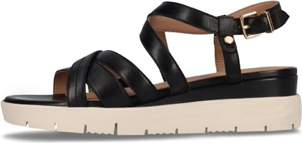 SALAMANDER Remienkové sandále čierna