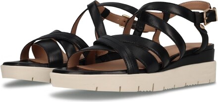 SALAMANDER Remienkové sandále čierna