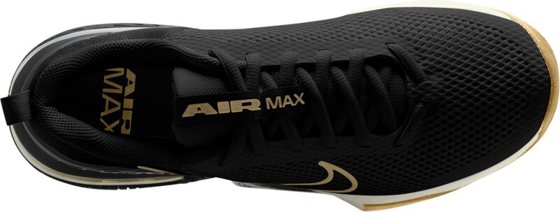 Nike Air Max Alpha Trainer 6 Men Workout Shoes BLACK/PARACHUTE BEIGE-SAIL 012