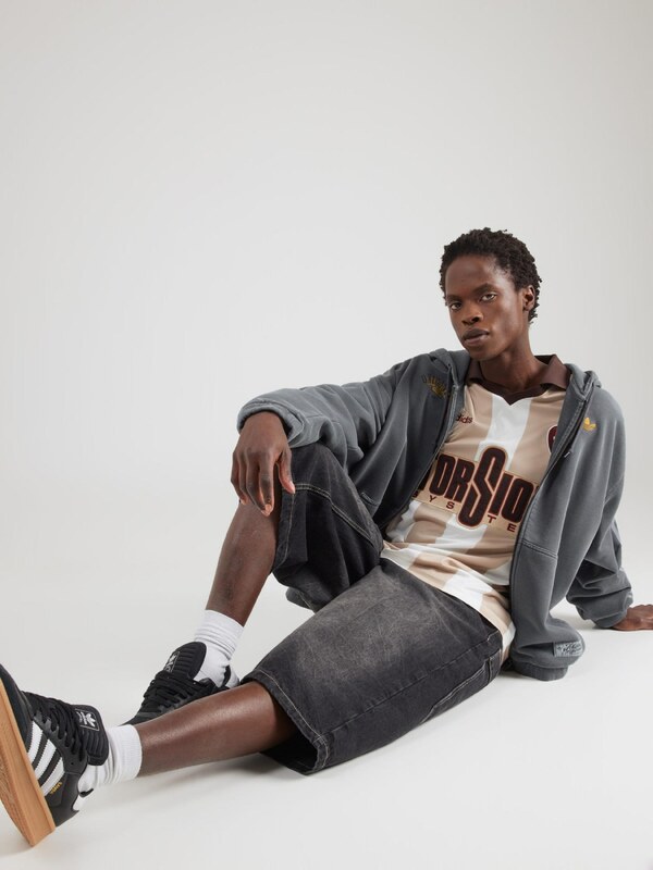 ADIDAS ORIGINALS Tepláková bunda karí / čadičová / svetlosivá / tmavosivá