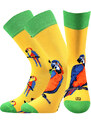 DOBLE farebné ponožky Lonka - KOALA