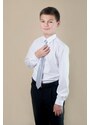 Chlapčenská kravata strieborná lesk 44cm Avantgard 548-9021