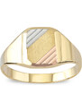 Lillian Vassago Pánsky prsteň z troch farieb zlata LLV06-GR045