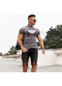 Pánske fitness tričko Iron Aesthetics Triumph, Sivé