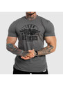 Pánske fitness tričko Iron Aesthetics Force, sivé