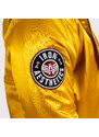 Pánska prechodná bunda s kožušinou Iron Aesthetics, žltá