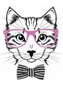 B&C Dámske tričko mačka s okuliarmi