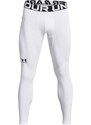 Men's winter compression leggings Under Armour CG Armour Leggings