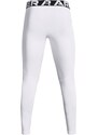 Men's winter compression leggings Under Armour CG Armour Leggings