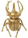 KARE DESIGN Nástenná dekorácia Atlas Beetle zlatá