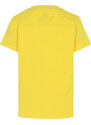 LEGO wear LEGO NINJAGO M-12010102 tričko s krátkym rukávom žlté