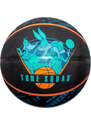SPALDING SPACE JAM TUNE SQUAD ROSTER BALL 84540Z