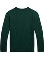 Detský bavlnený sveter Polo Ralph Lauren zelená farba