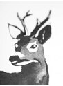 Teemu Järvi Plagát s motívom srnca Roe Deer 50x70