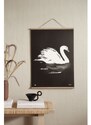 Teemu Järvi Plagát s motívom labute Swan 50x70